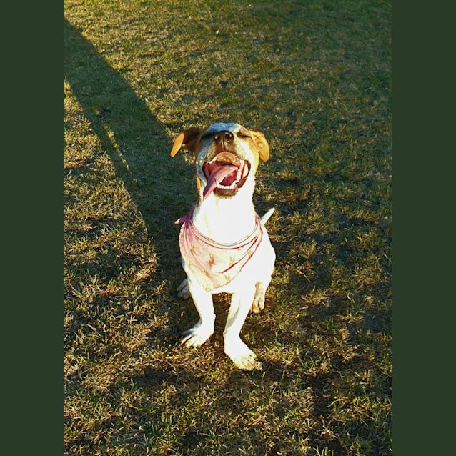 Photo of Funny Miss Clover! 