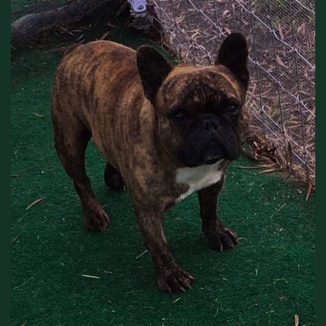 Photo of Zeus