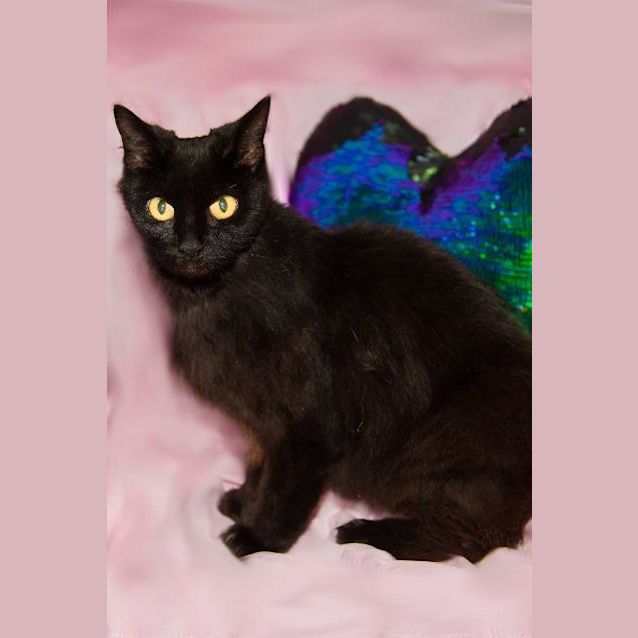 Photo of Bubbles
