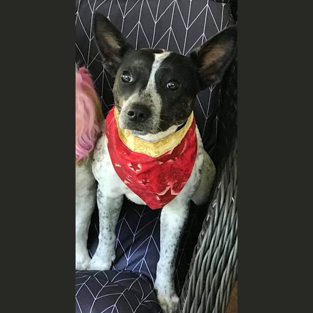 Photo of Zera 
