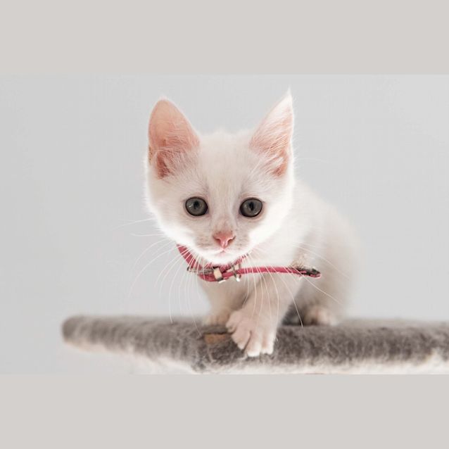 Photo of Sunshine 🌞 