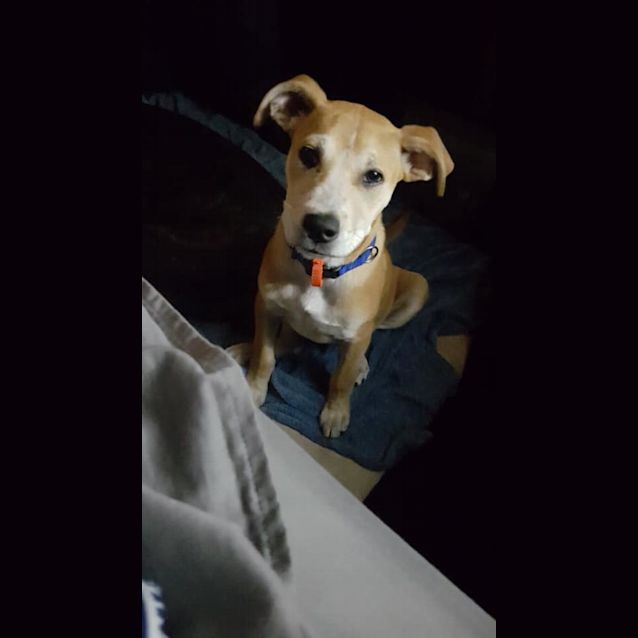 Photo of Buddy