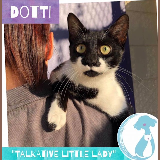 Photo of Dotti