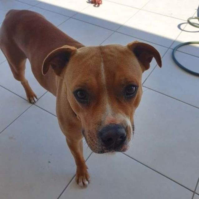 Photo of Xena