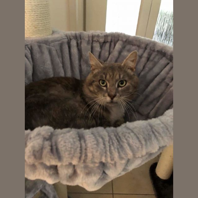 Photo of Thor ❤