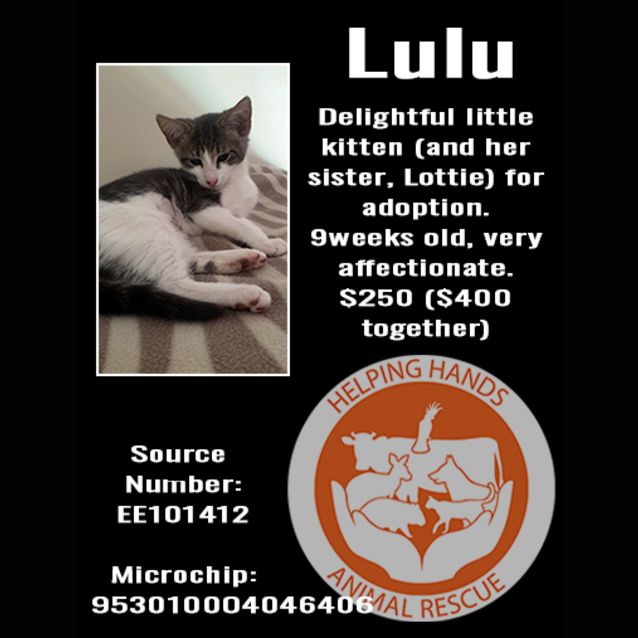 Photo of Lulu