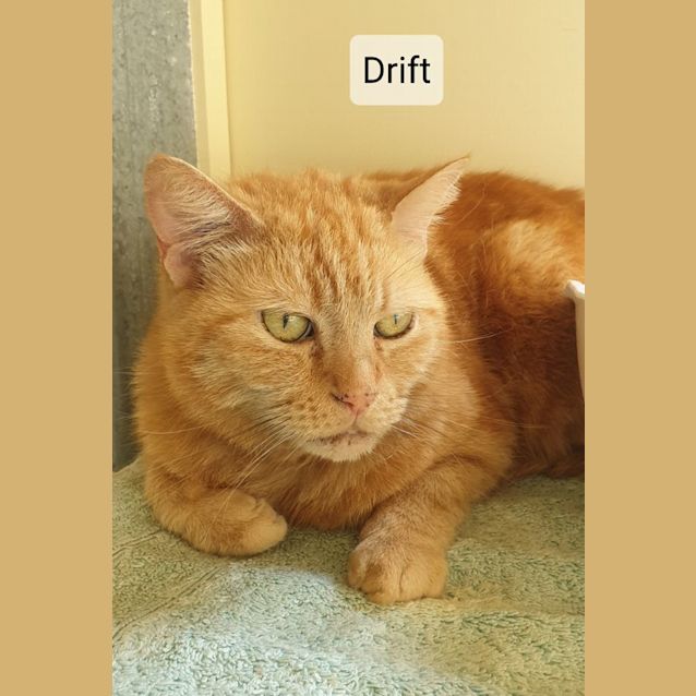 Photo of Drift