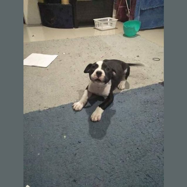 Photo of Rey
