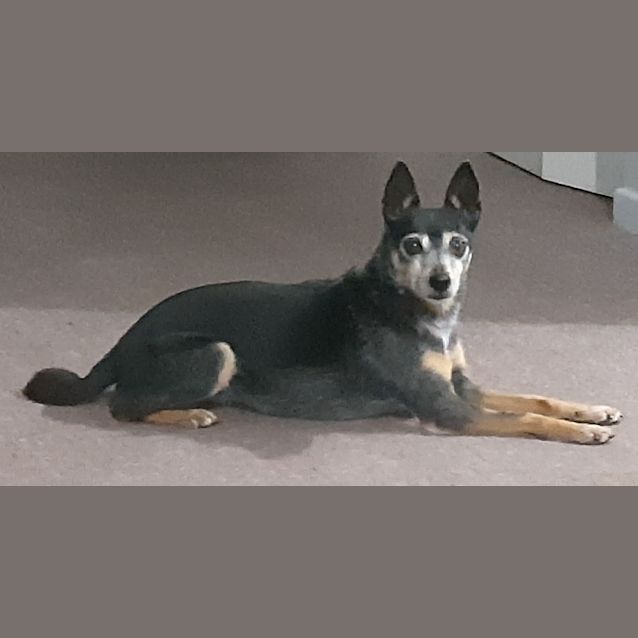 Photo of Raphie