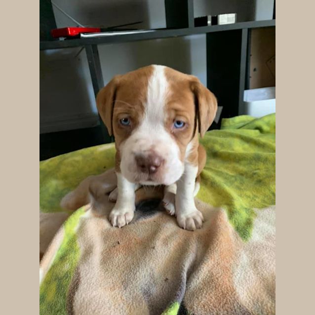 Photo of Chilly