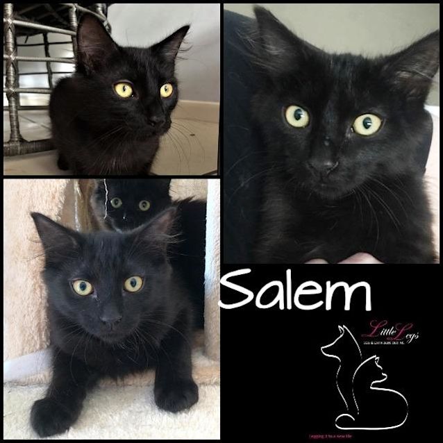 Photo of Salem