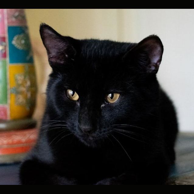 Photo of Smooch
