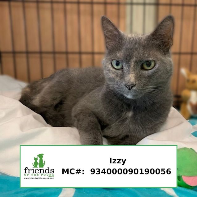 Photo of Izzy