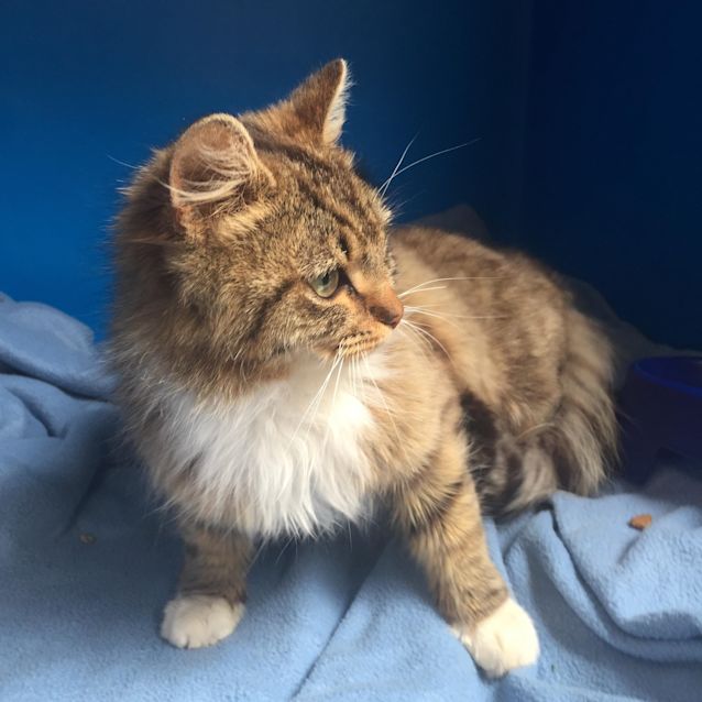 Photo of Darling   Located In Fitzroy