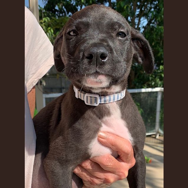 Photo of Ted
