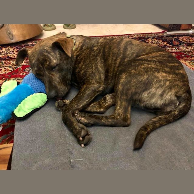 Photo of Bridget Dl2297