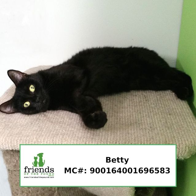Photo of Betty