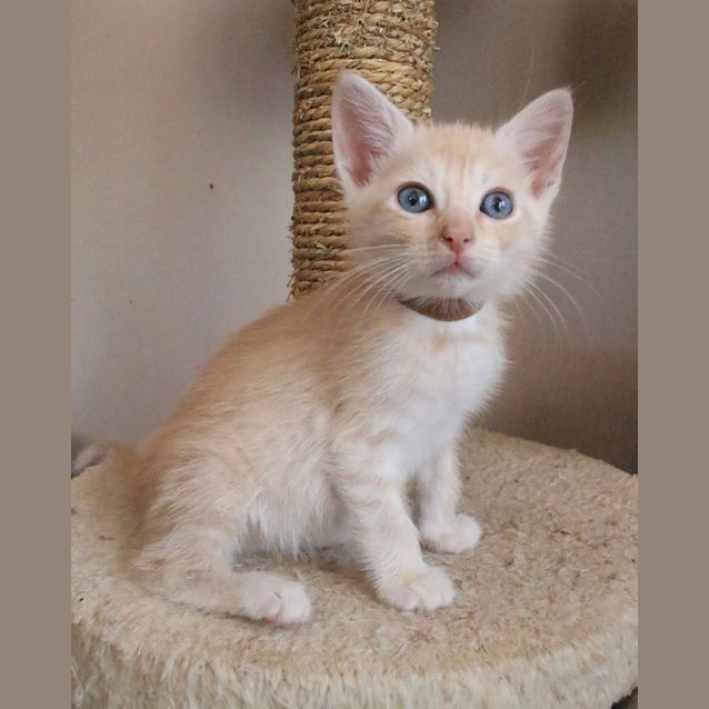 Photo of Salsa 