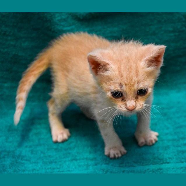 Photo of Draco Malfoy