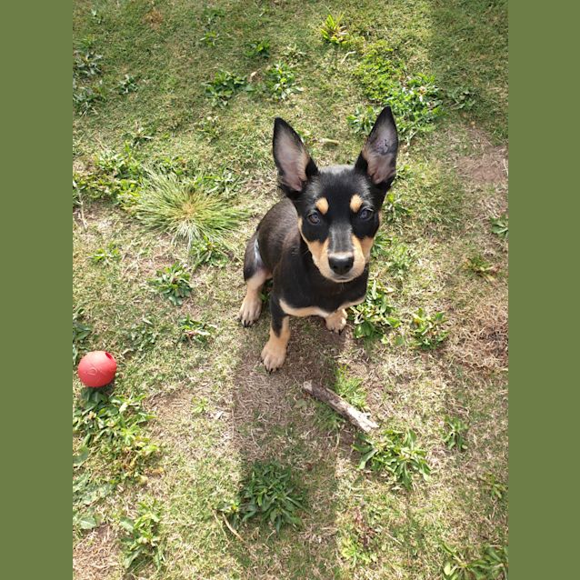 Photo of Razz 🧡💕💞💓