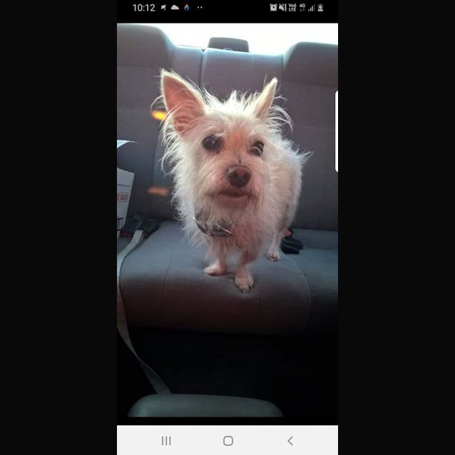 Photo of Bella