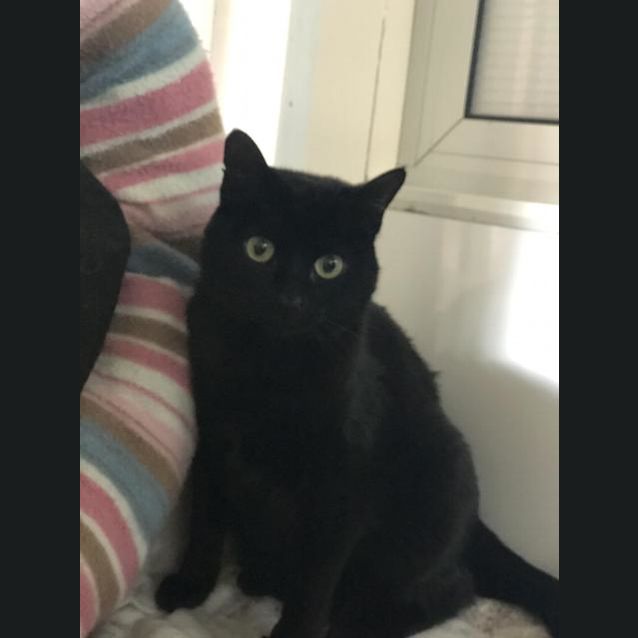 Photo of Marceline