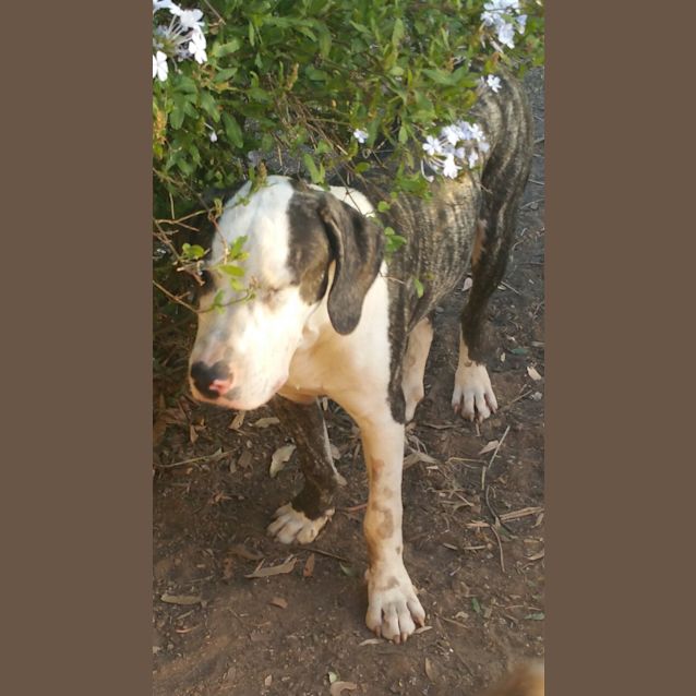 Photo of Bruce