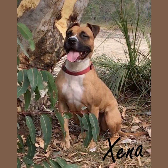 Photo of Xena