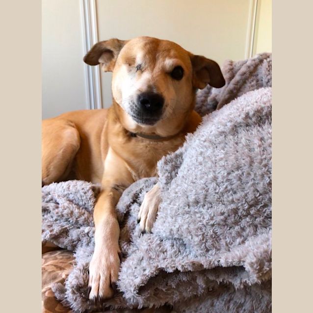 Photo of Little Lucky