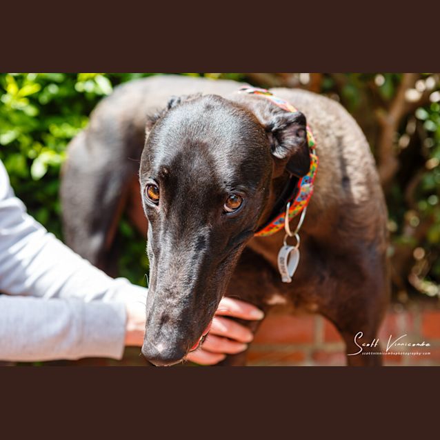 Photo of Arlo