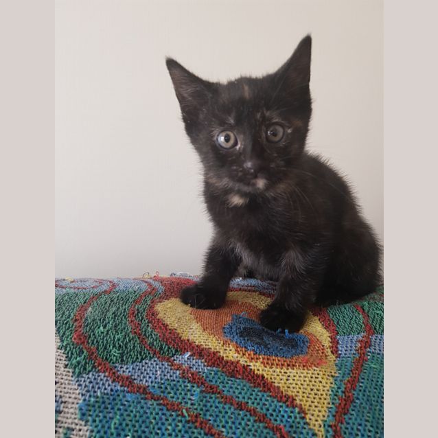 Photo of Elsa