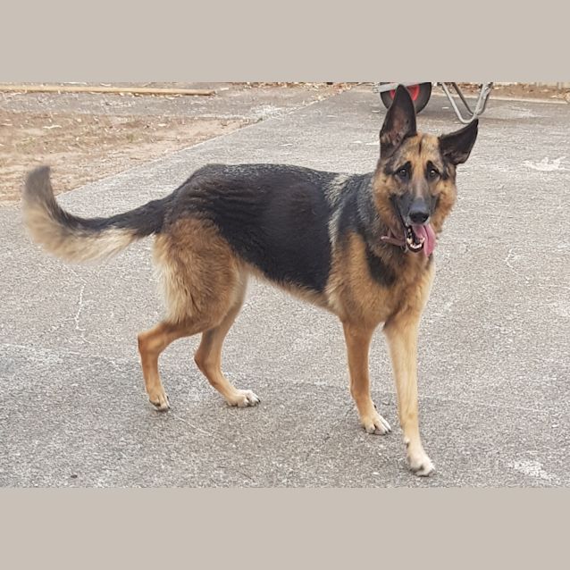 Photo of Matilda (Tilly)