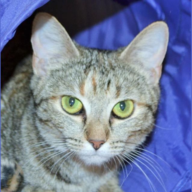 Photo of Regina