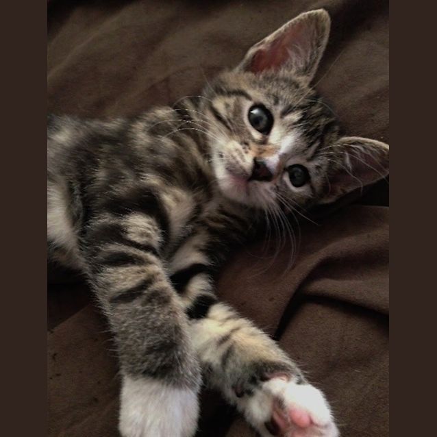 Photo of Joey