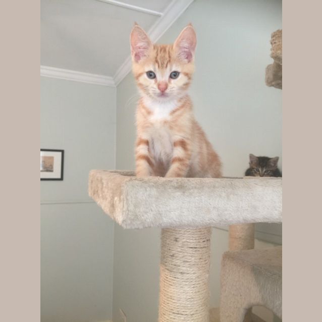 Photo of Hugo