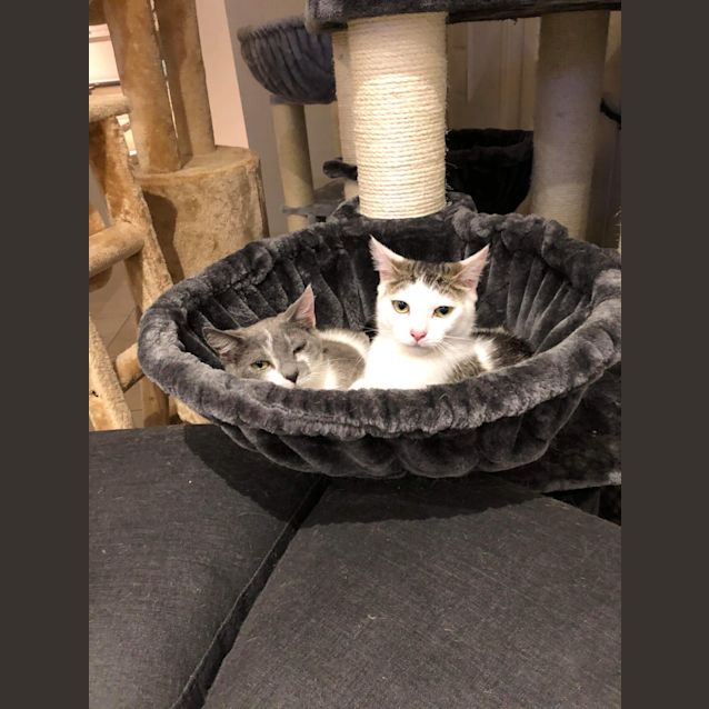 Photo of Kira ❤