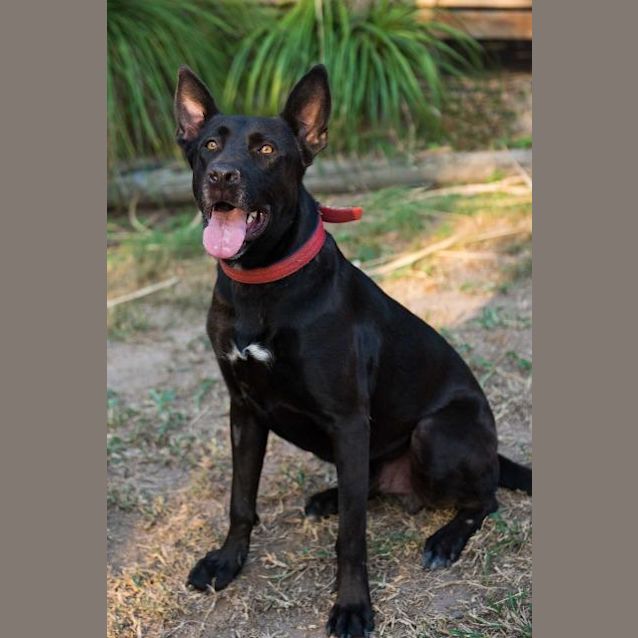 Photo of Nox