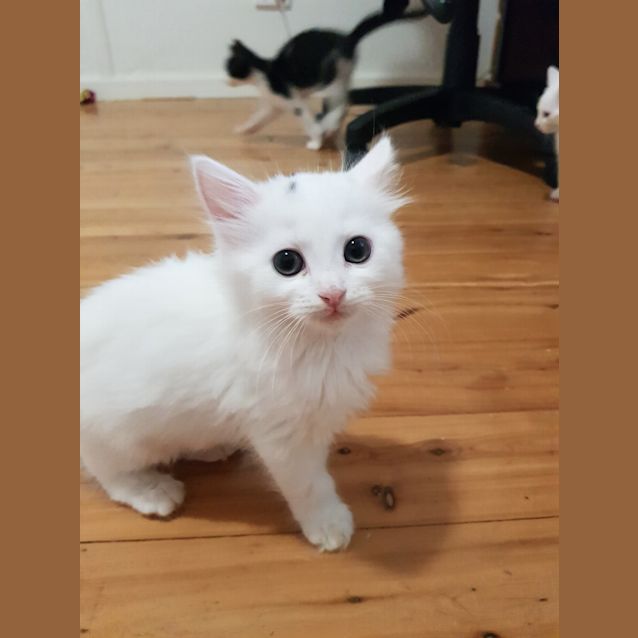 Photo of Twix
