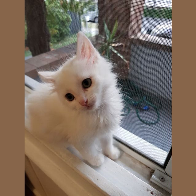 Photo of Bounty