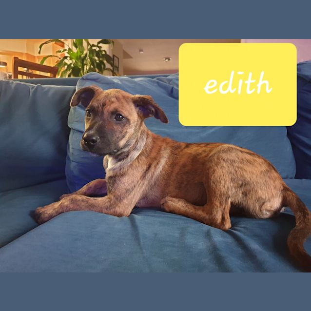 Photo of Edith