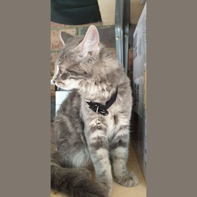 Photo of Max