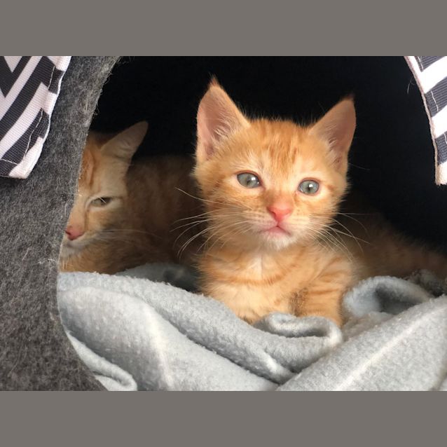 Photo of Luli And Eva