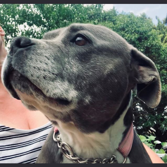 Photo of 💓Indie💓