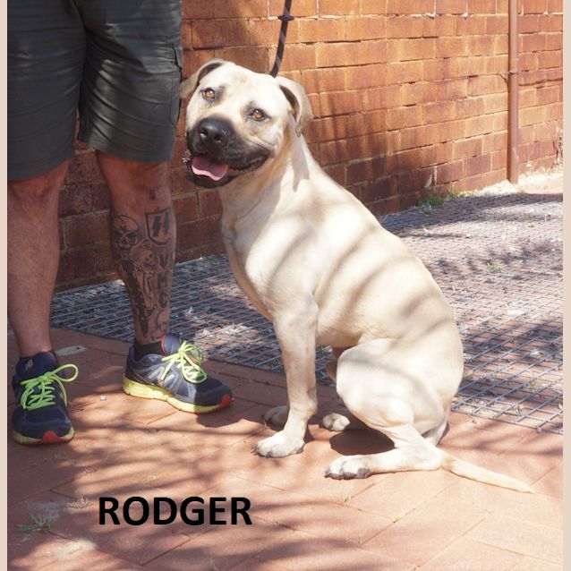 Photo of Rodger