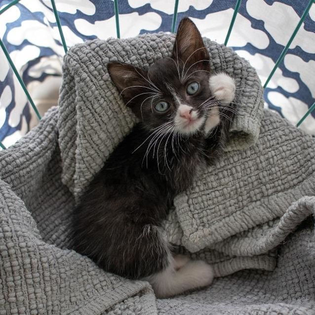 Photo of Georgie