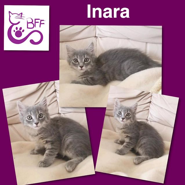 Photo of Inara