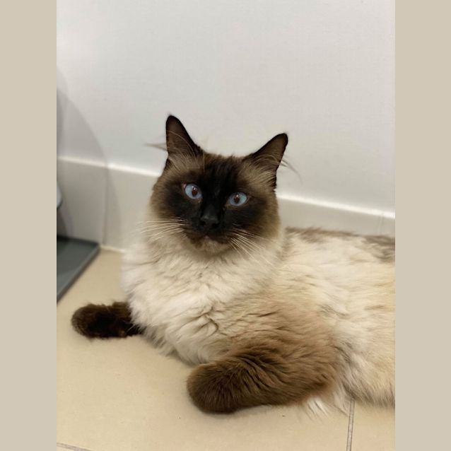 Photo of Winston 