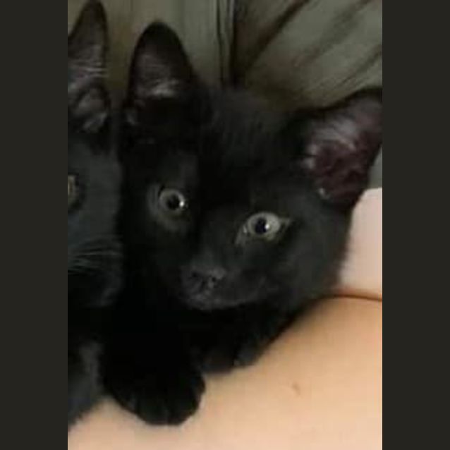 Photo of Larry
