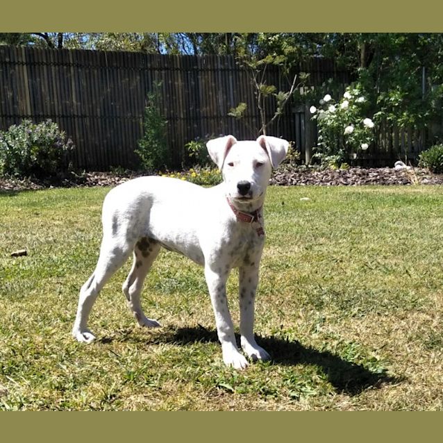 Photo of Peppermint Patty