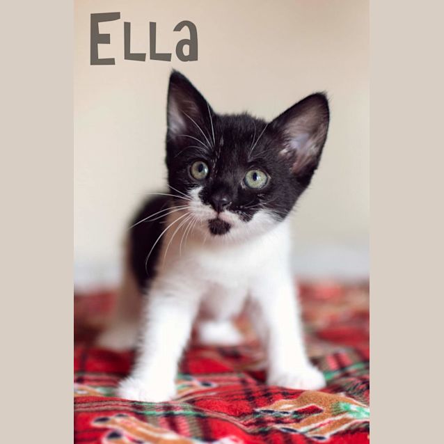Photo of Ella